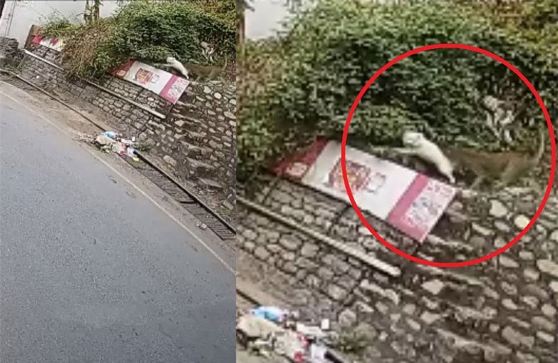 Video: Bao vao thanh pho bat trom cho cua dan