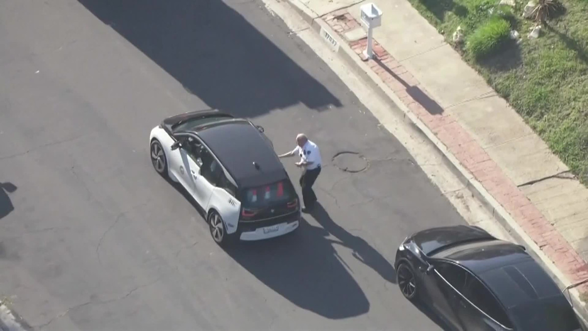 Video: Nguoi dan ong guc nga khi bi dan ong tan cong