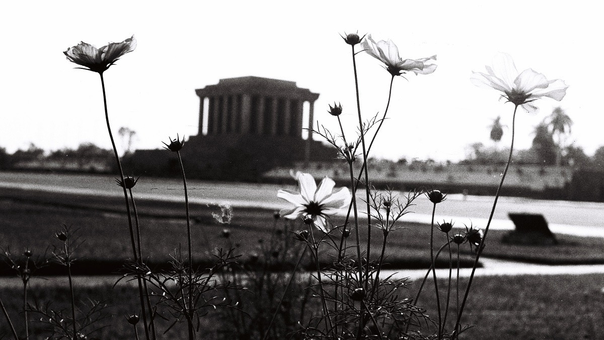 Một vài nhành hoa tại quảng trường Ba Đình, trước Lăng Chủ tịch Hồ Chí Minh.