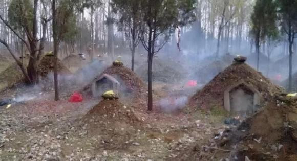 Quan tai chon duoi, sao tren mat dat co go dat nho nho len?-Hinh-2