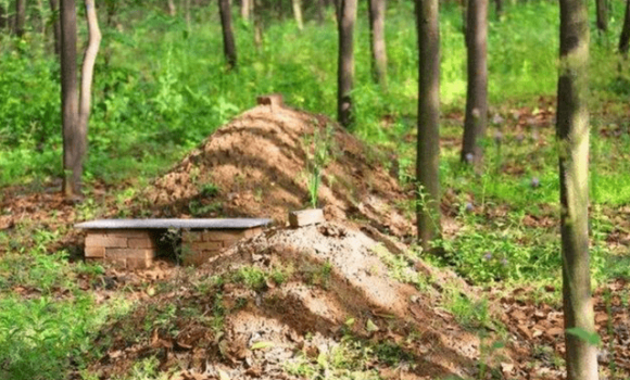 Quan tai chon duoi, sao tren mat dat co go dat nho nho len?