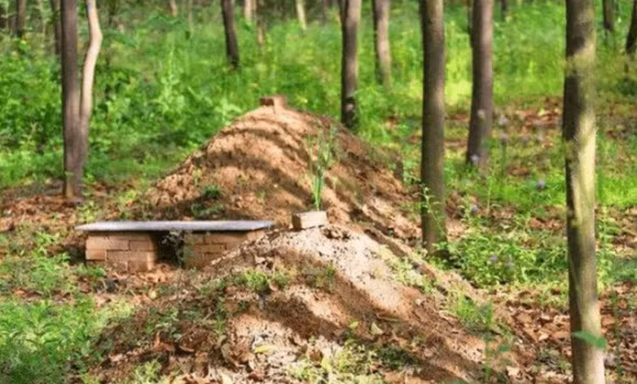 Quan tai chon duoi, sao tren mat dat co go dat nho nho len?