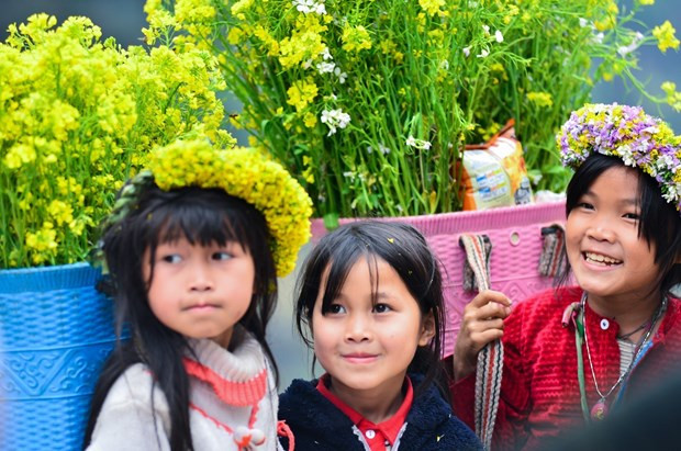 Ở Hà Giang hoa cải vàng đẹp như mộng hút du khách - Hình 4 O Ha Giang hoa cai vang dep nhu mong hut du khach-Hinh-4