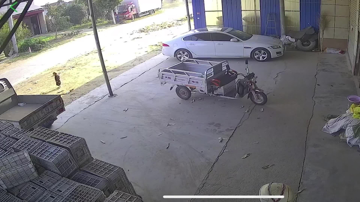 Video: Bé trai ra đường, người đi ô tô có hành động bất ngờ Video: Be trai ra duong, nguoi di o to co hanh dong bat ngo