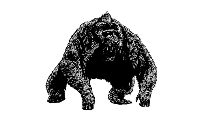 Phat hien mot trong nhung loai vuon lon nhat tung ton tai