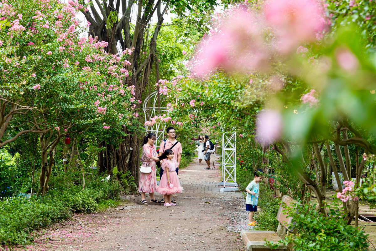 Những ngày nay, nơi đây đang thu hút đông đảo du khách tới chụp ảnh vui chơi. Hiện giá vé vào tham quan, chụp ảnh là 50.000 đồng, nhiều dịch vụ đa dạng như cho thuê trang phục, đạo cụ và xe đạp, thuyền... có giá dao động từ 20.000 - 50.000 đồng.