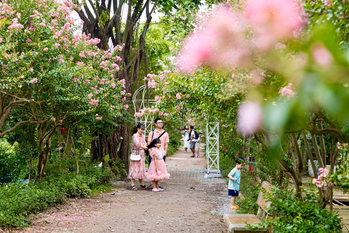 Những ngày nay, nơi đây đang thu hút đông đảo du khách tới chụp ảnh vui chơi. Hiện giá vé vào tham quan, chụp ảnh là 50.000 đồng, nhiều dịch vụ đa dạng như cho thuê trang phục, đạo cụ và xe đạp, thuyền... có giá dao động từ 20.000 - 50.000 đồng.