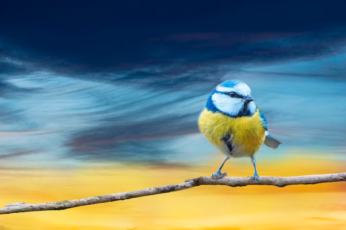 Ở tuổi 35, vận may bất ngờ này đã mang lại cho anh thành tựu đầu tiên trong đời và cũng tạo nên thành công cho sự nghiệp.