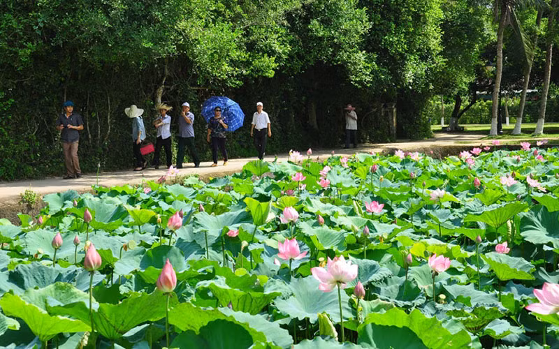 10 dia diem du lich Nghe An khong the bo lo-Hinh-11