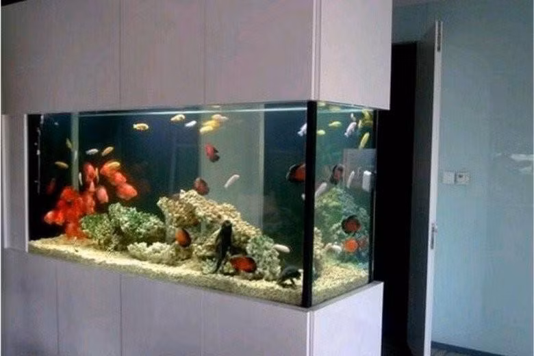 Dat 3 thu truoc cua so thu hut tai loc, chan dung van xui-Hinh-2