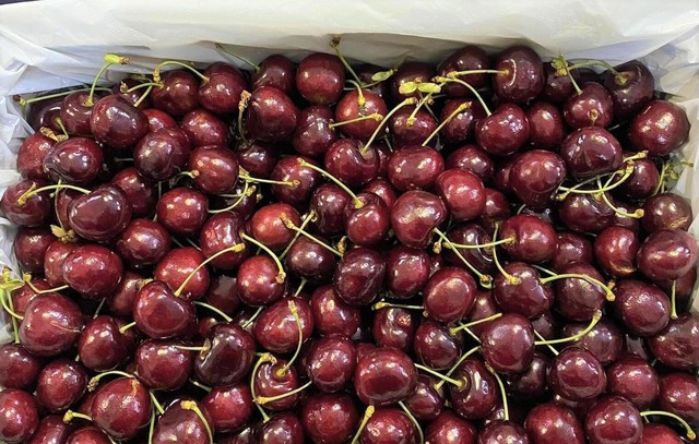 Quả cherry giàu dinh dưỡng vốn đắt đỏ thường nhà giàu hay mua Qua cherry giau dinh duong von dat do thuong nha giau hay mua