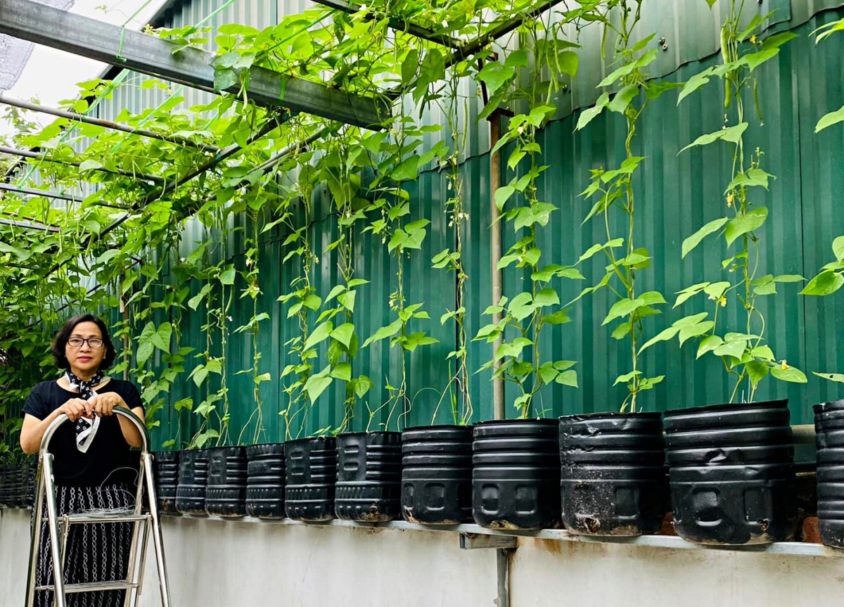 Ke toan ve huu bien rac thai thanh khu vuon xanh tuoi hoa trai-Hinh-4