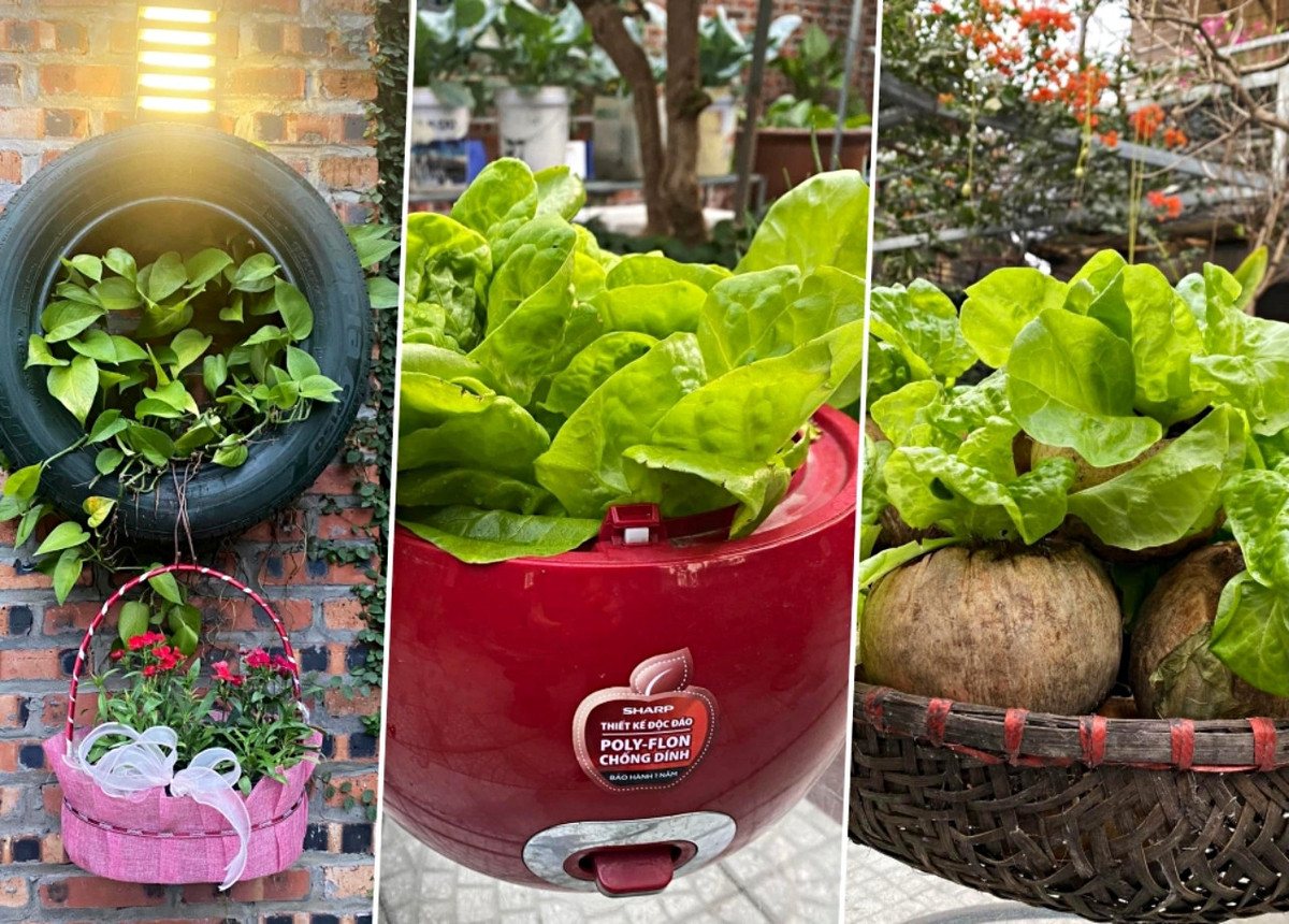 Ke toan ve huu bien rac thai thanh khu vuon xanh tuoi hoa trai-Hinh-2