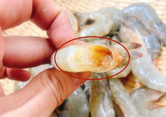 Mua tom nen chon tom thang hay tom cong?-Hinh-3