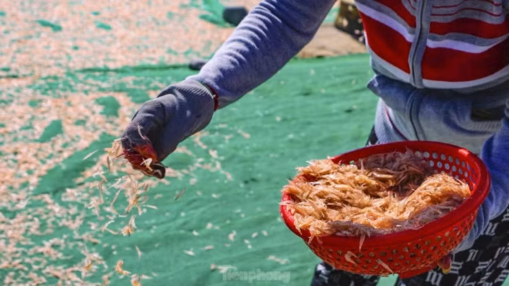 Với thời điểm hiện tại, “lộc biển” những ngày qua giúp người dân có thêm chi phí để trang trải, đặc biệt sắp đến Tết cổ truyền.