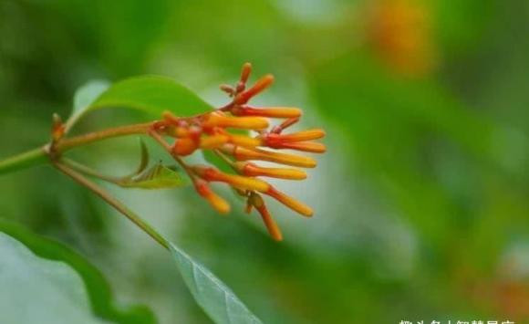 Phu nu sinh thang may am lich thi may man vuong phu ich tu?