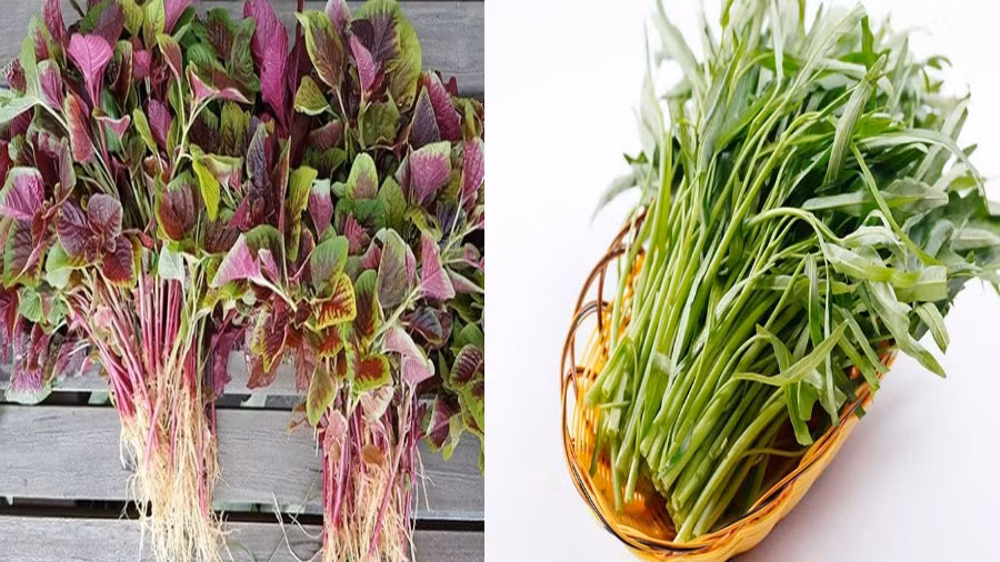 Bat ngo loai rau giau canxi hon sua, cho nao cung co