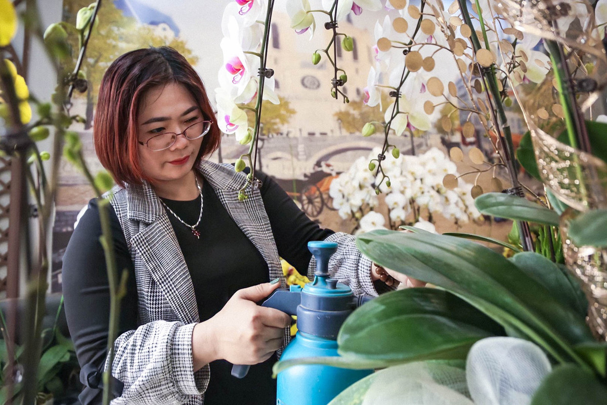 Với chị Lê Thị Thu Hằng (huyện Gia Lâm), việc giữ chân thợ cắm lan hồ điệp tăng ca làm việc trong dịp cận Tết là điều tối quan trọng. "Đợt cao điểm làm hàng Tết, tôi phải huy động đến 30 nhân viên làm việc, trong đó chỉ có 9 thợ phụ trách cắm hoa".