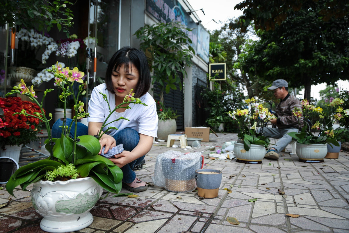 Tùy vào sở thích của khách hàng, một chậu lan có thể thêm nhiều tiểu cảnh bằng việc kết hợp đa dạng loại cây khác. Tuy nhiên, hoa lan là loại cây chỉ ưa độ ẩm vừa phải nên trước khi trao tay đến tay khách, nhân viên chăm sóc hoa phải lau chùi cẩn thận, sạch sẽ ngay sau khi xịt nước. Thợ cắm hoa đồng thời cũng phải kiểm tra lại chậu hoa một lần nữa để tránh tình trạng hoa bị xê dịch, từ đó điều chỉnh lại sao cho phù hợp.