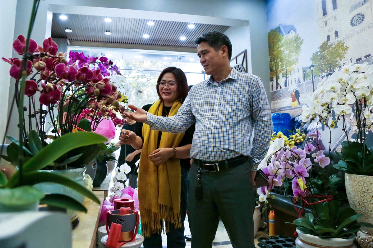 Cũng theo chị Hằng, xu hướng chơi lan của người dân năm nay chủ yếu là những chậu lan nhỏ, có kích thước phù hợp để đặt bàn với giá dao động 2-5 triệu đồng/chậu. "Mặc dù số lượng lan năm nay bán ra bằng năm ngoái nhưng đa phần là những đơn hàng nhỏ lẻ thay vì đơn hàng có giá cả trăm triệu đồng như năm ngoái". Chị Hằng cho biết thêm.