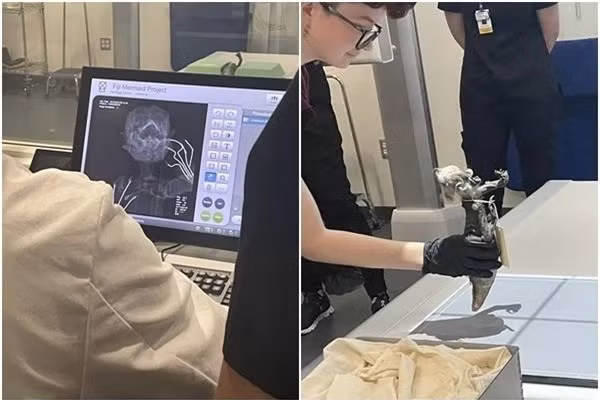 Xác ướp "nàng tiên cá" lộ ngoại hình đáng sợ sau hơn trăm năm ảnh 2