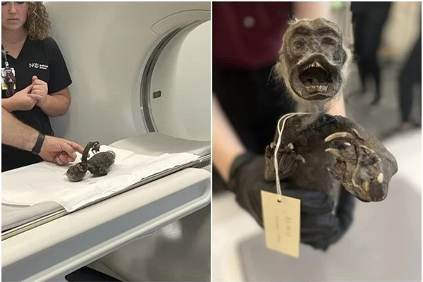 Xác ướp "nàng tiên cá" lộ ngoại hình đáng sợ sau hơn trăm năm ảnh 1