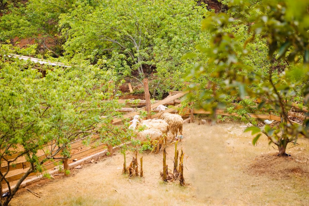 Thich thu kham pha pho di bo cho dem Moc Chau-Hinh-5