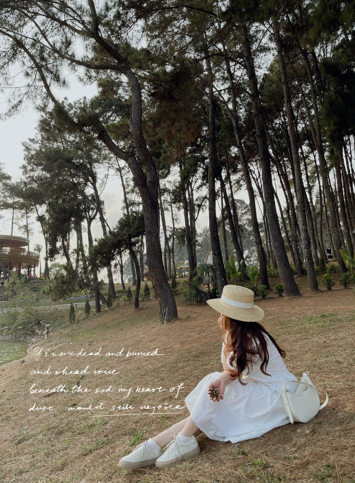 Thich thu kham pha pho di bo cho dem Moc Chau-Hinh-6