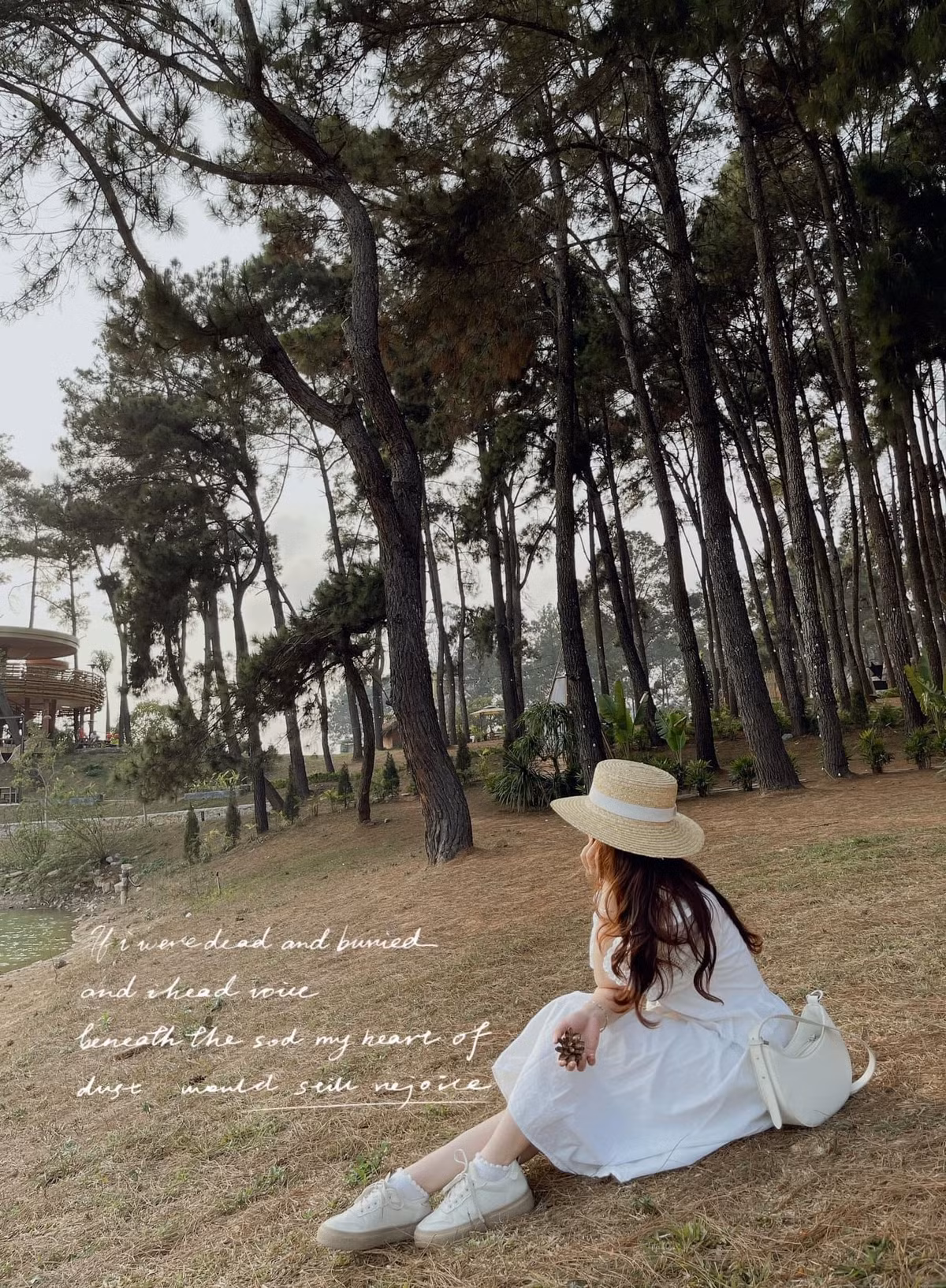 Thich thu kham pha pho di bo cho dem Moc Chau-Hinh-6