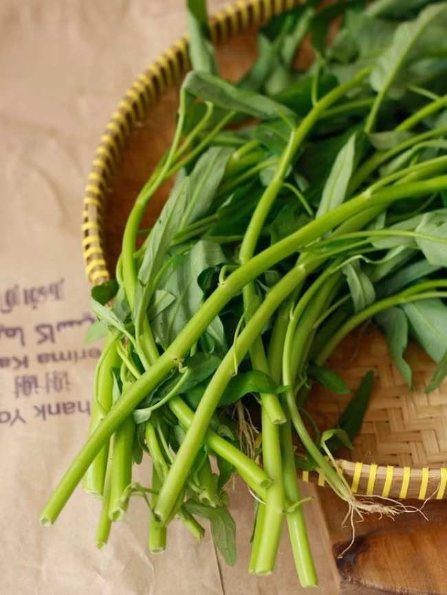 Cach trong rau muong bang canh lon nhanh nhu thoi