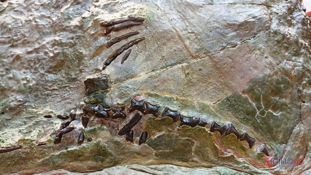 Noi luu giu bo xuong nguoi tien su hon 7.500 nam-Hinh-6