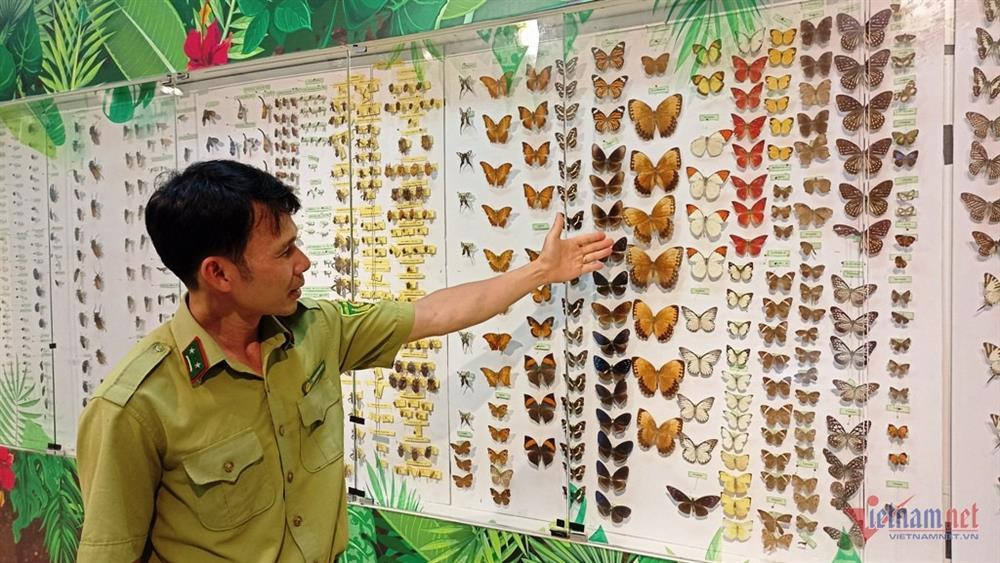 Noi luu giu bo xuong nguoi tien su hon 7.500 nam-Hinh-5