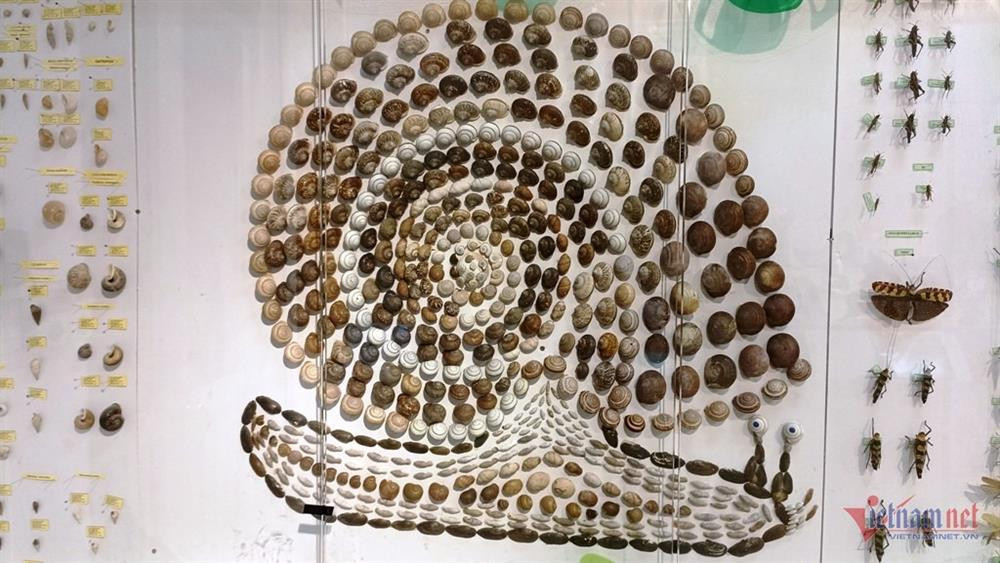 Noi luu giu bo xuong nguoi tien su hon 7.500 nam-Hinh-4