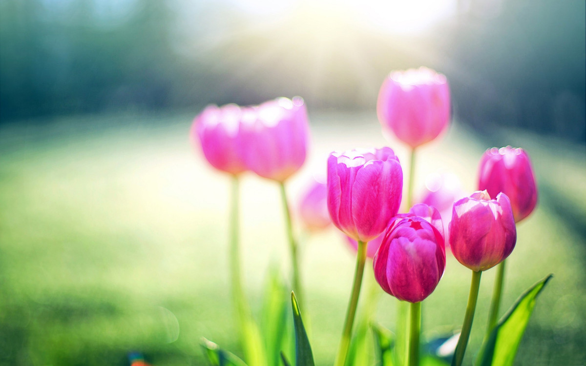 Người sinh tháng Âm lịch này được quý nhân sủng ái, kiếm tiền đỉnh - Hình 2 Nguoi sinh thang Am lich nay duoc quy nhan sung ai, kiem tien dinh-Hinh-2