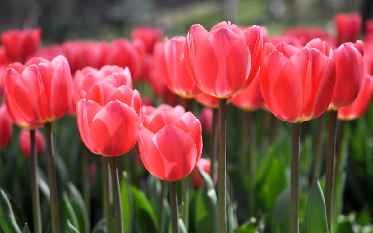 Nguoi sinh thang Am lich nay duoc quy nhan sung ai, kiem tien dinh-Hinh-3