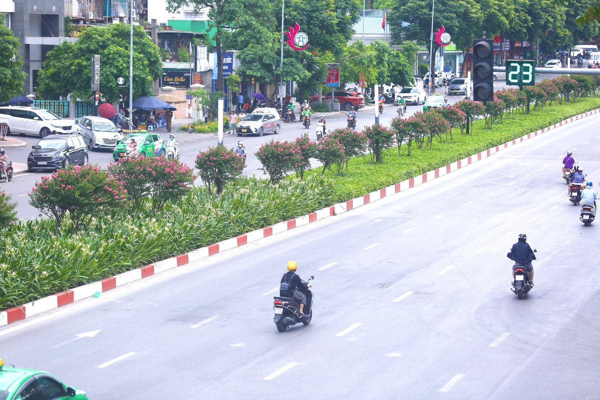 Đây là nơi từng được trồng hàng phong lá đỏ, tuy nhiên lại không được như kỳ vọng.