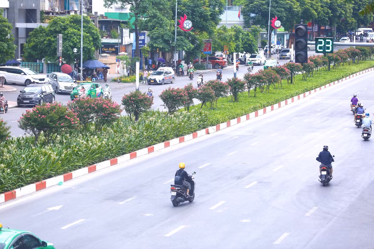 Đây là nơi từng được trồng hàng phong lá đỏ, tuy nhiên lại không được như kỳ vọng.