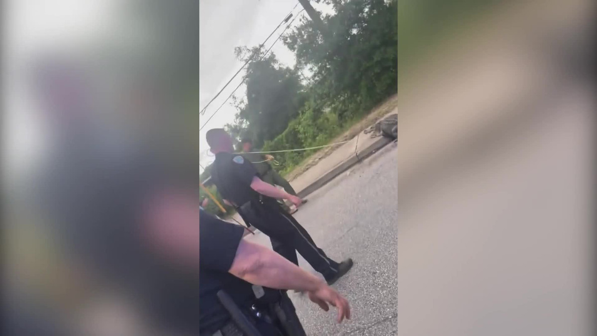 Video: Cảnh sát hỗ trợ vây bắt cá sấu khổng lồ trên đường Video: Canh sat ho tro vay bat ca sau khong lo tren duong