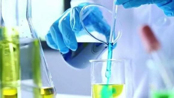 4 tham hoa lon co the xay ra vao nam 2024-Hinh-2