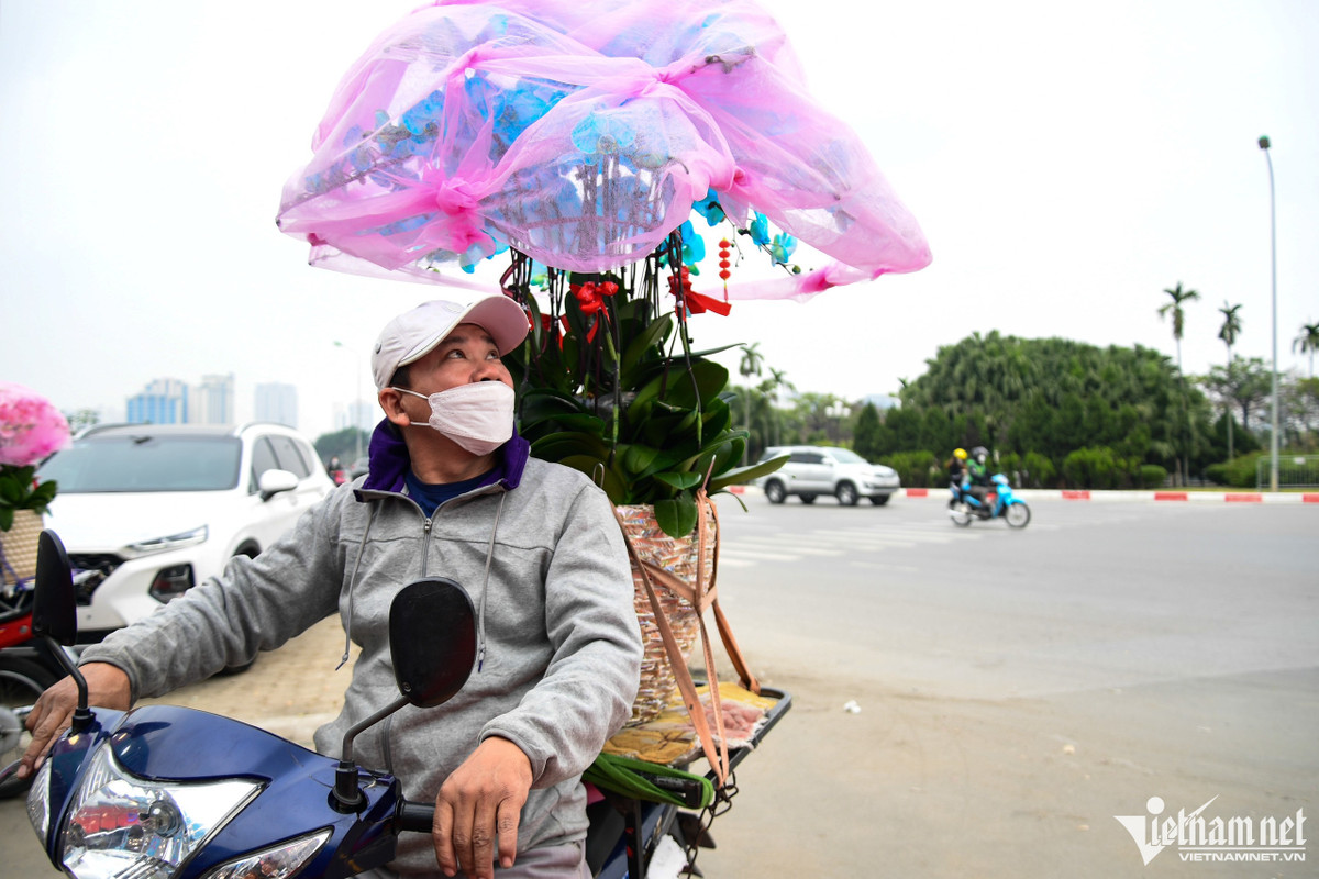 Hoa chuyển giao cho khách được bảo quản cẩn thận bằng các bọc túi lưới, phần chậu được cố định bằng đệm và dây thừng. Anh Trung (nhân viên cửa hàng) cho biết, từ sáng tới chiều anh đã chạy được 8 cuốc xe, mỗi cuốc anh lấy phí vận chuyển từ 100.000-150.000 đồng.