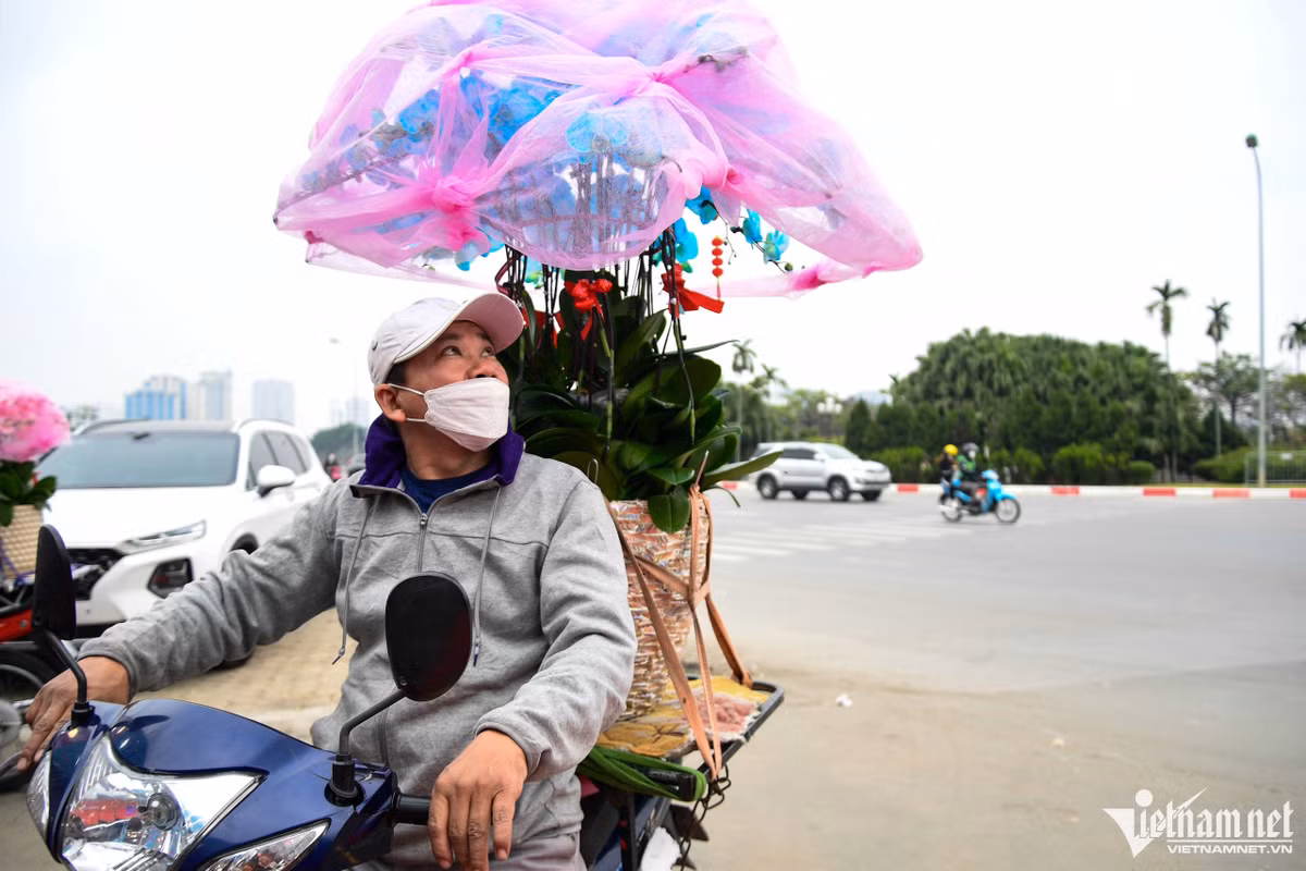 Hoa chuyển giao cho khách được bảo quản cẩn thận bằng các bọc túi lưới, phần chậu được cố định bằng đệm và dây thừng. Anh Trung (nhân viên cửa hàng) cho biết, từ sáng tới chiều anh đã chạy được 8 cuốc xe, mỗi cuốc anh lấy phí vận chuyển từ 100.000-150.000 đồng.