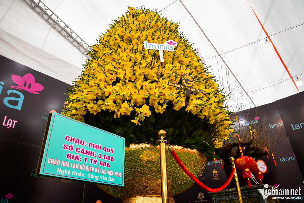 Chậu lan phú quý đường kính 3m, cao 7m, có 3.686 cành, trị giá 1,686 tỷ đồng. Trước đó, 11 người thợ đã hoàn thiện tác phẩm này trong 3 ngày. "Chậu được đặt trước 2 tháng do trọng lượng cây lớn, phôi đúc bằng sắt, phía ngoài khảm bằng vỏ trai và dát vàng", anh Ngô Văn Nghiệp (chủ cơ sở) nói.