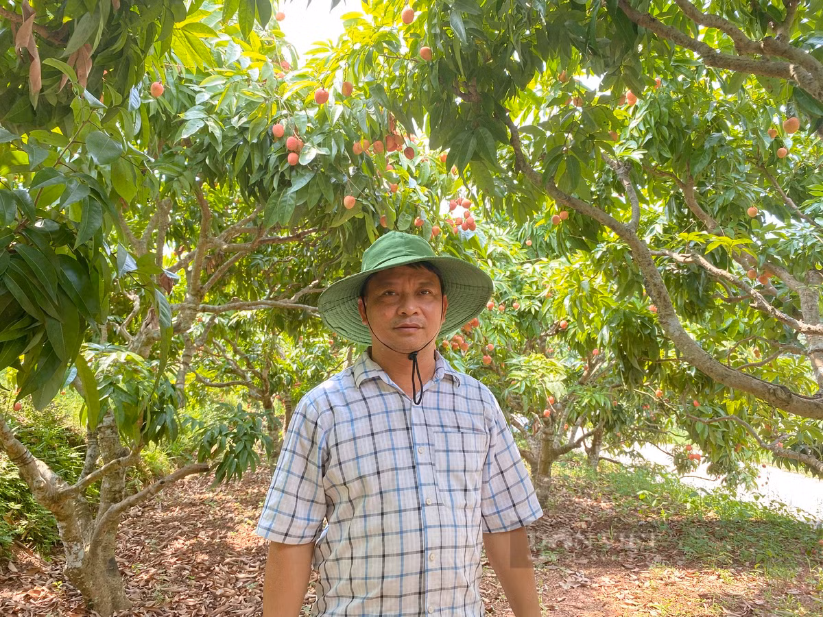 Vai chin som ngon cua Tan Yen 