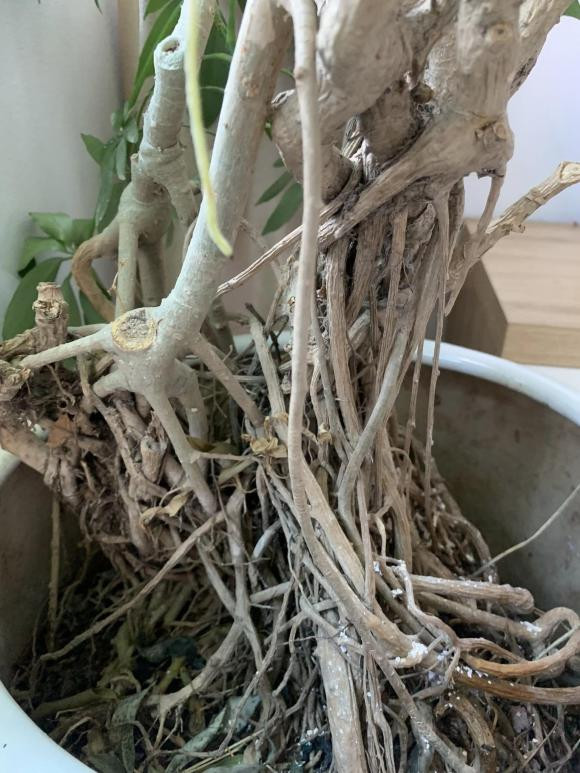 Vo trung xu ly cach nay 