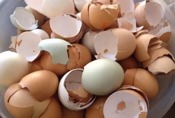 Vo trung xu ly cach nay 