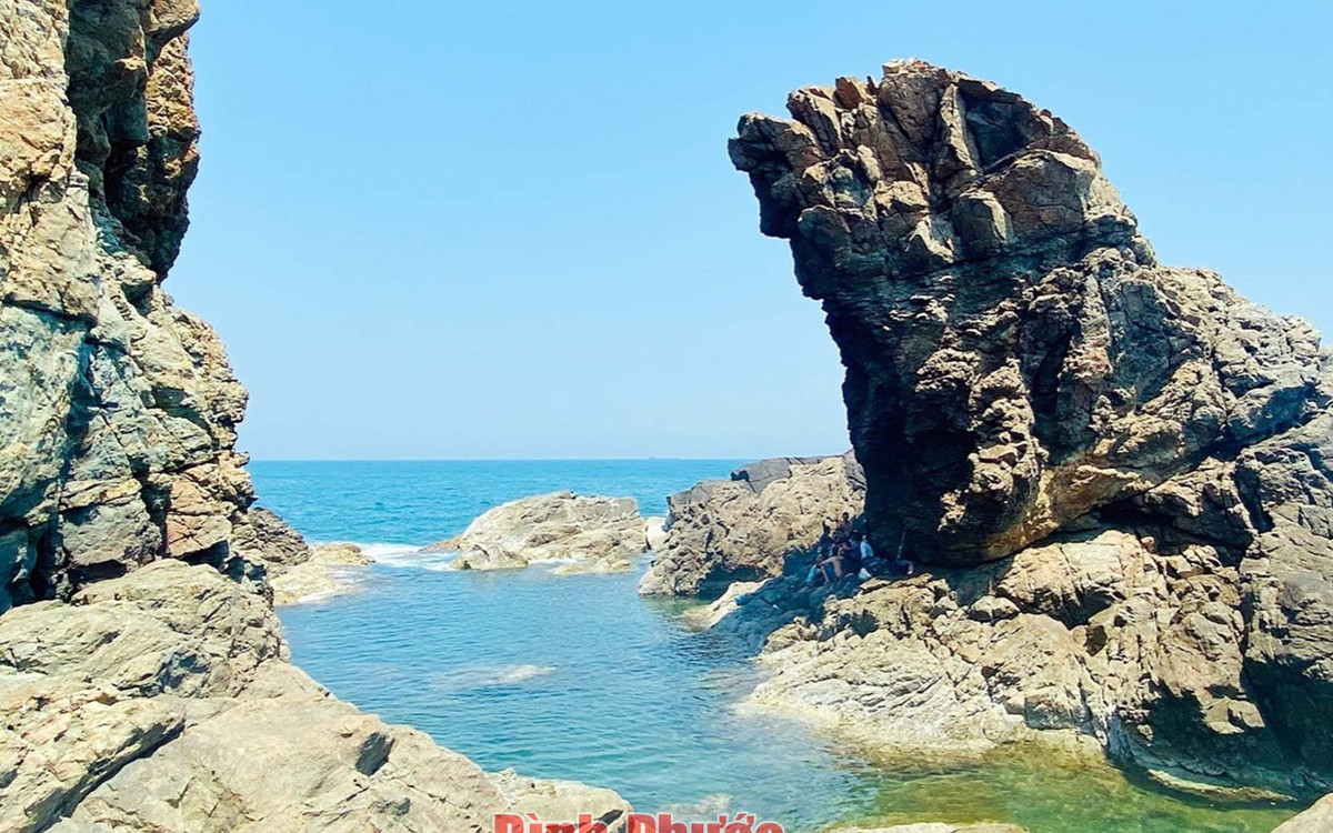 Nuôi cá dứa, nông dân vùng Cần Giờ nhà nào cũng giàu - Hình 2 Nuoi ca dua, nong dan vung Can Gio nha nao cung giau-Hinh-2