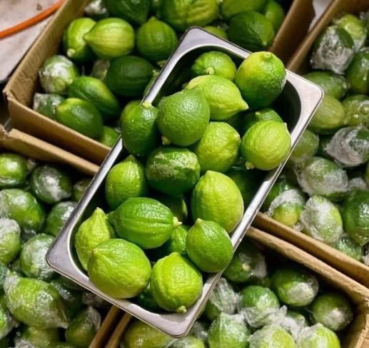 Den luot tra chanh gia tay cua Trung Quoc tao 