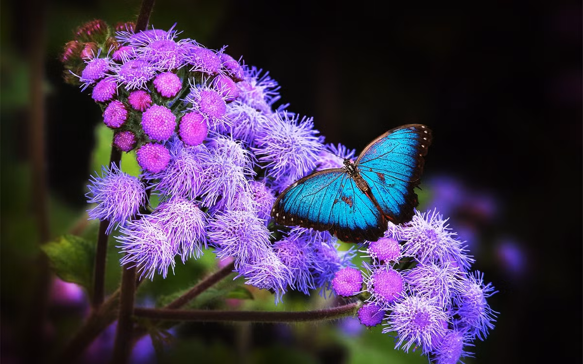 Ai sinh thang Am lich nay tai nang xuat sac, gioi kiem tien-Hinh-3