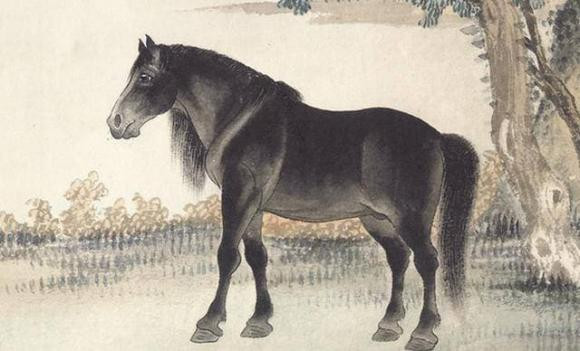 3 con giap co van may lon troi cho, 'thoi toi can khong noi'