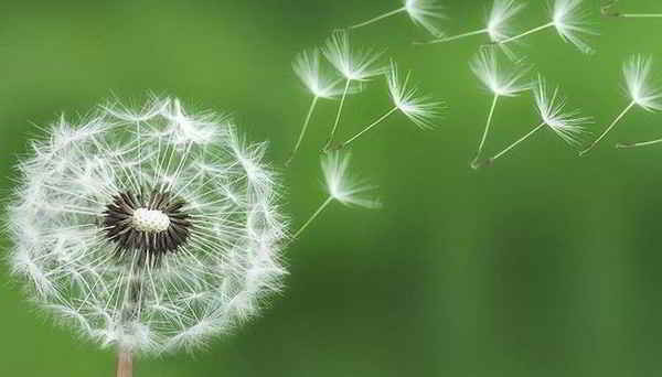 Sinh ngày 2 Âm lịch. Theo tử vi, người sinh vào mùng 2 Âm lịch thường mang khí chất cao quý, thanh nhã, tràn đầy sức hút. Họ mang tính cách hiền lành, thương người và biết đồng cảm với người khác. Người sinh vào ngày Âm lịch này sẵn sàng giúp đỡ khi thấy người khác gặp khó khăn.